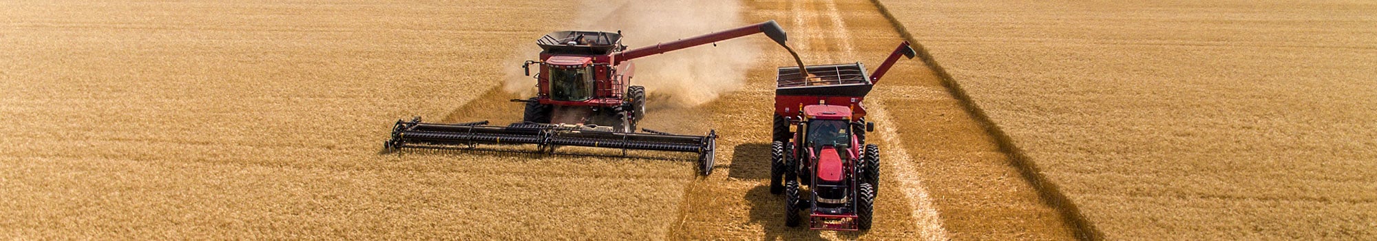 combine and tractor cutting wheat